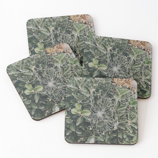 Item preview, Frosted spider web designed and sold by aaliyahdeacon.