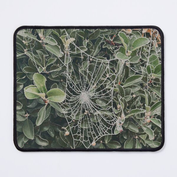 Item preview, Frosted spider web designed and sold by aaliyahdeacon.