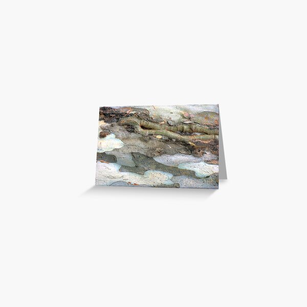 Salamander on Ice Greeting Card