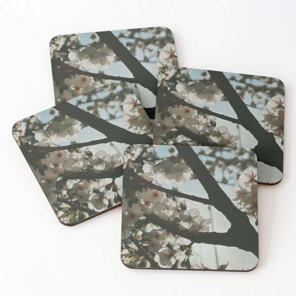 Item preview, Cherry Blossoms designed and sold by aaliyahdeacon.