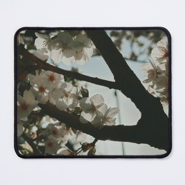 Item preview, Cherry Blossoms designed and sold by aaliyahdeacon.