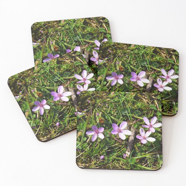 Item preview, Common Centaury ( Centaurium Erythraea ) designed and sold by wiggyofipswich.