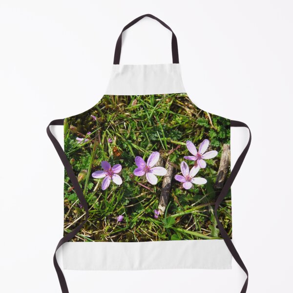 Item preview, Common Centaury ( Centaurium Erythraea ) designed and sold by wiggyofipswich.