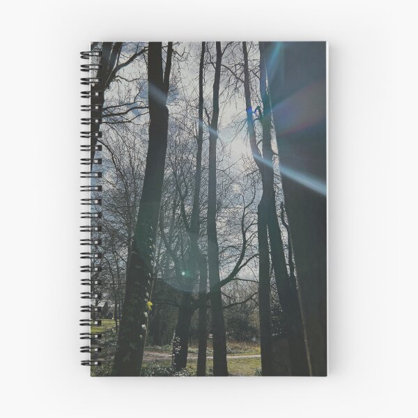 Item preview, Sun light through trees designed and sold by aaliyahdeacon.