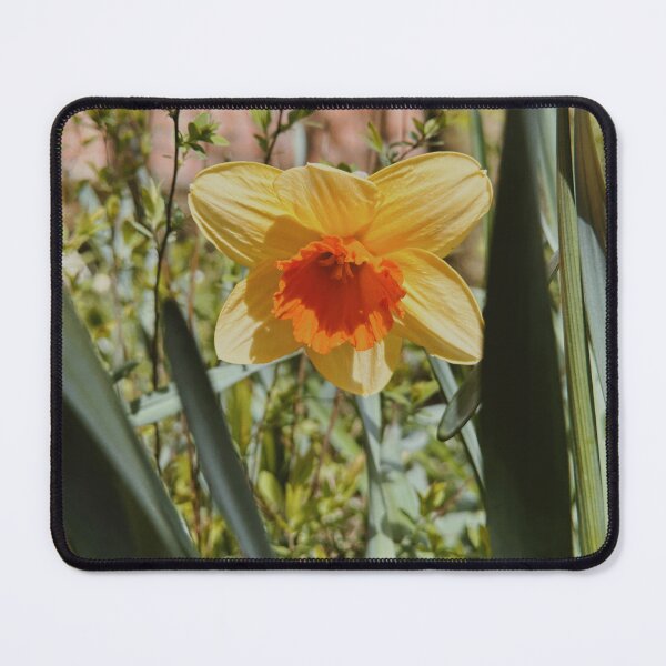 Item preview, Yellow Daffodil designed and sold by aaliyahdeacon.