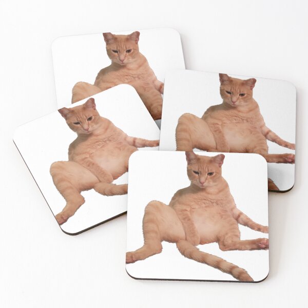 Item preview, Modest cat designed and sold by observation.