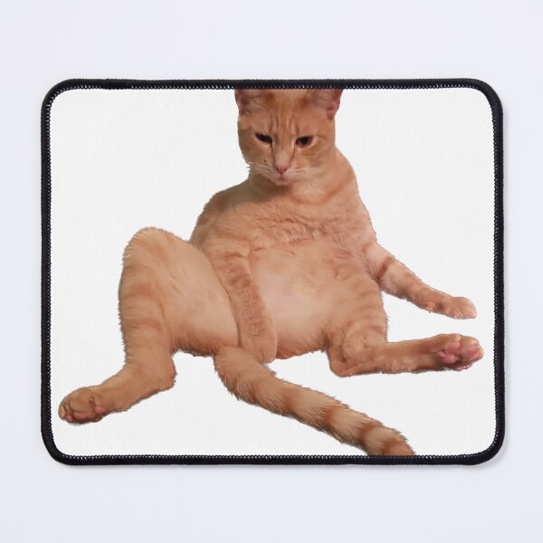 Item preview, Modest cat designed and sold by observation.