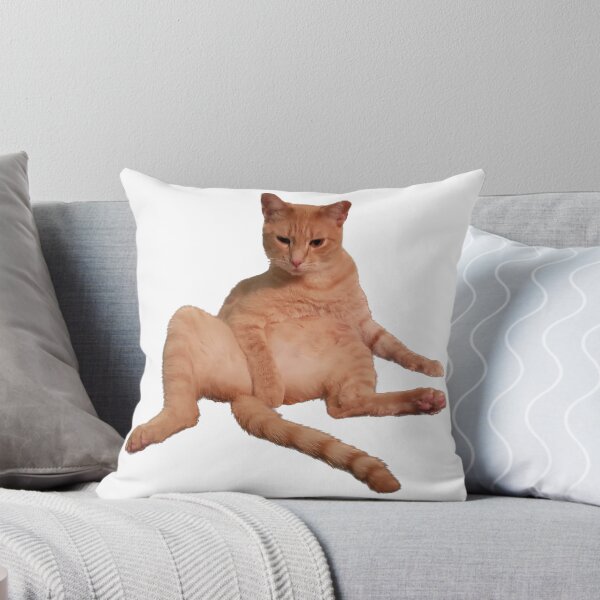 Item preview, Modest cat designed and sold by observation.