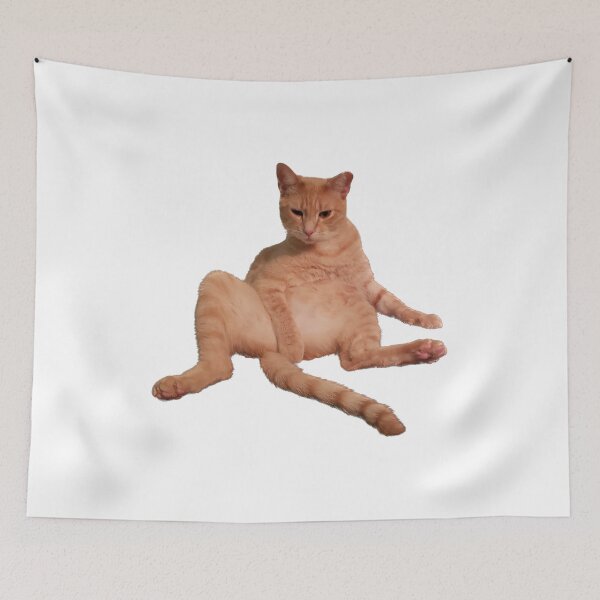 Item preview, Modest cat designed and sold by observation.