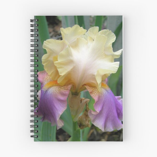 Item preview, Softly Hued Iris designed and sold by Kathleen Brant.
