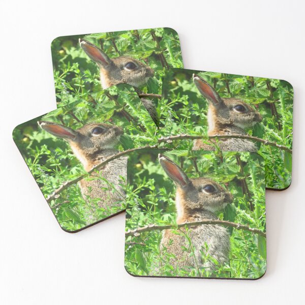 Item preview, Vegan or Vegetarian ? designed and sold by wiggyofipswich.