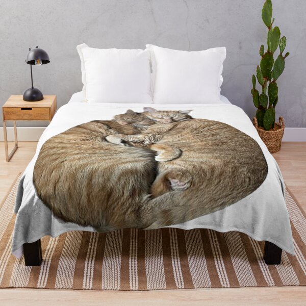 Item preview, Cats cuddling designed and sold by observation.