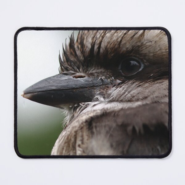 Item preview, Juvenile Kookaburra designed and sold by Pixxowl.