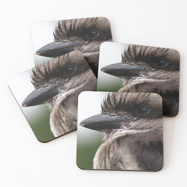Item preview, Juvenile Kookaburra designed and sold by Pixxowl.