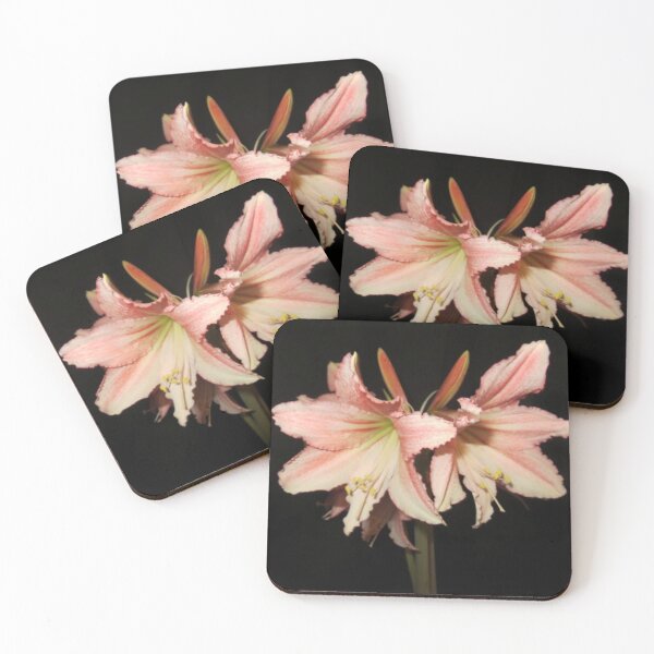 Item preview, Tinkerbell Amaryllis designed and sold by DesignsbyAunt.