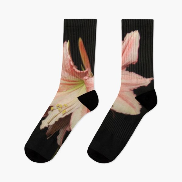 Item preview, Tinkerbell Amaryllis designed and sold by DesignsbyAunt.