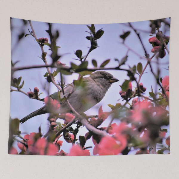 Item preview, Hiding Among Quince Blossoms designed and sold by Len Bomba.