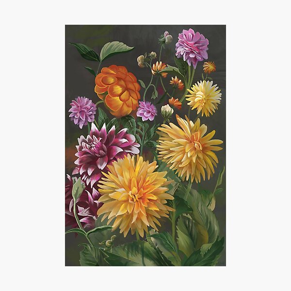 Photographic Print