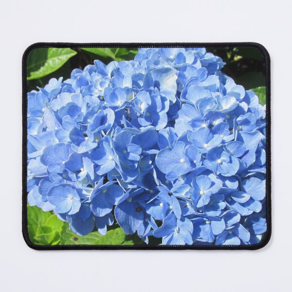 Item preview, Hydrangea designed and sold by DesignsbyAunt.