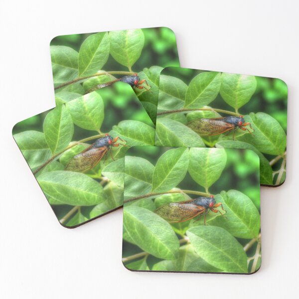 Item preview, Red Eyed Cicada designed and sold by Frankie Cat Photography.