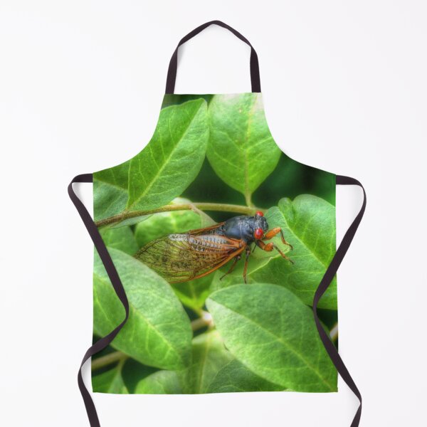 Item preview, Red Eyed Cicada designed and sold by Frankie Cat Photography.