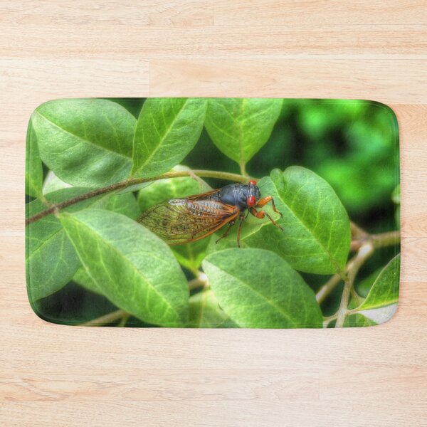 Item preview, Red Eyed Cicada designed and sold by Frankie Cat Photography.