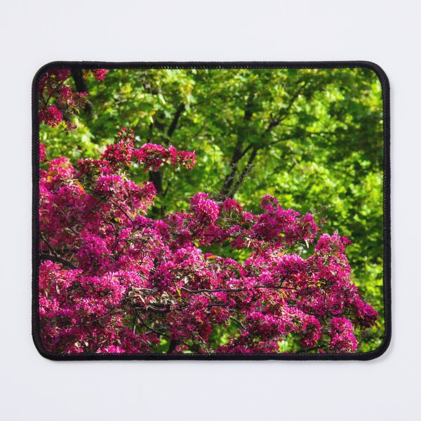 Item preview, The view from my window in May designed and sold by Tamara Travers.