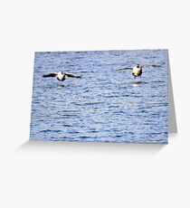 Two Canada geese stick together Greeting Card