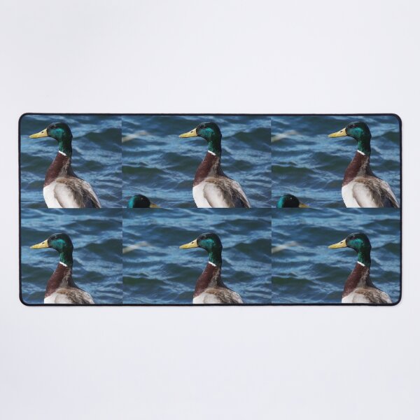 Item preview, Shiny Mallard (Anas platyrhynchos) designed and sold by FastRapidash.