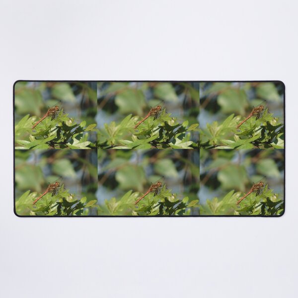 Item preview, Dragonfly Common Darter (Sympetrum striolatum) designed and sold by FastRapidash.