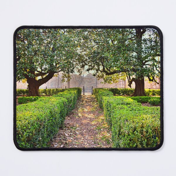 Item preview, The View From Rose Hill Plantation State Historical Site designed and sold by LisaWootenPhoto.