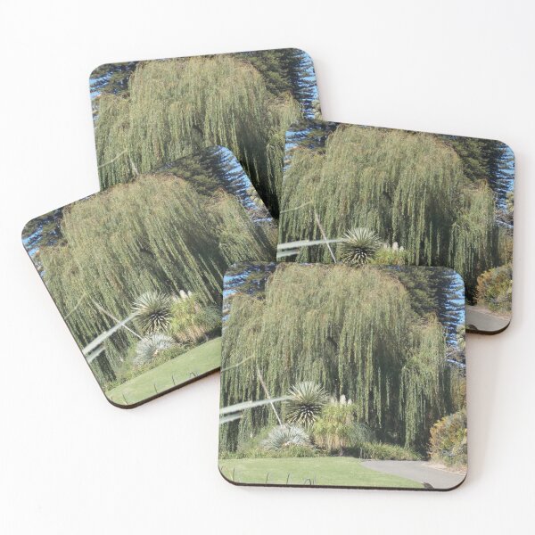 Item preview, Willow Tree Adelaide Botanic Gardens  designed and sold by Naomi80.