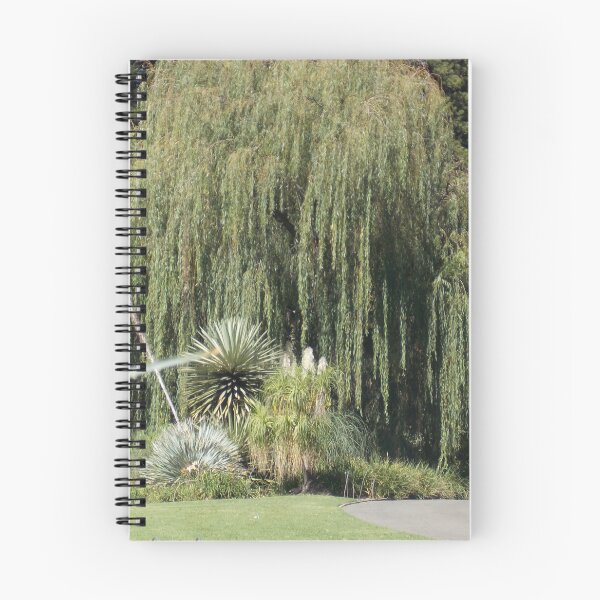 Item preview, Willow Tree Adelaide Botanic Gardens  designed and sold by Naomi80.
