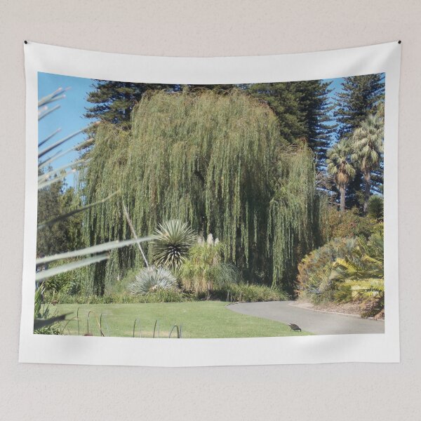 Item preview, Willow Tree Adelaide Botanic Gardens  designed and sold by Naomi80.