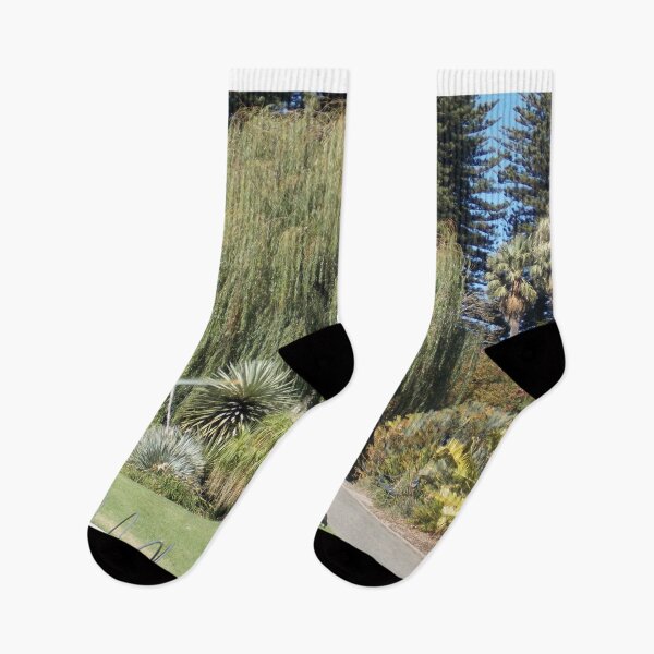 Item preview, Willow Tree Adelaide Botanic Gardens  designed and sold by Naomi80.
