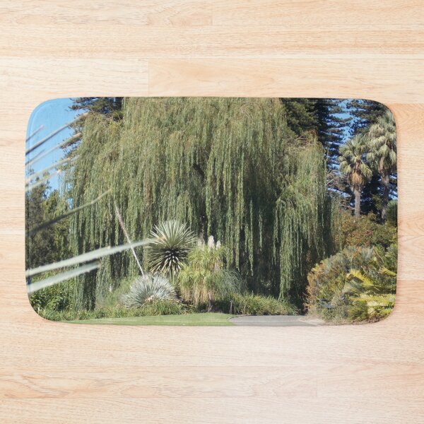 Item preview, Willow Tree Adelaide Botanic Gardens  designed and sold by Naomi80.