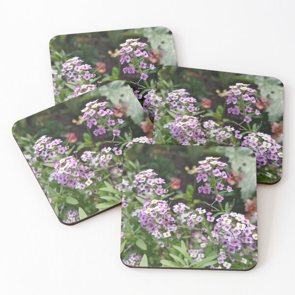 Item preview, Alyssum designed and sold by Michpictures001.