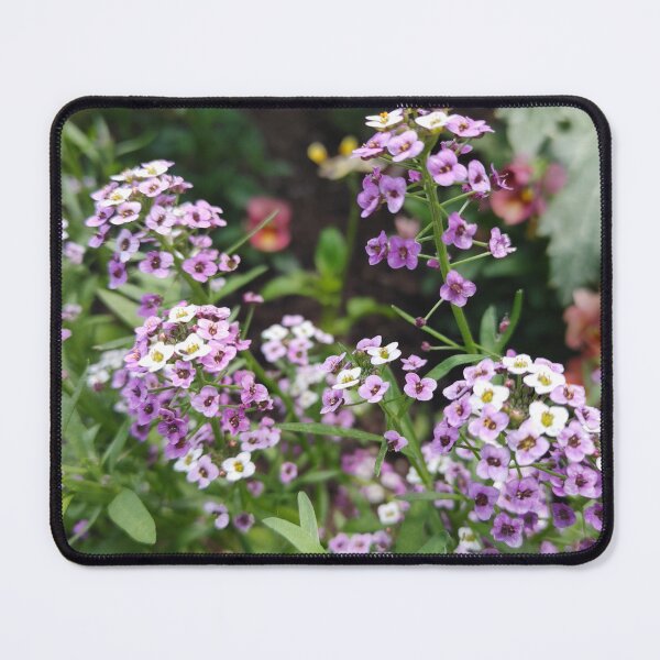 Item preview, Alyssum designed and sold by Michpictures001.