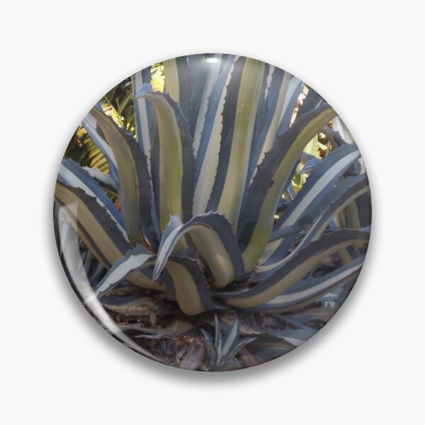 Item preview, Two toned cactus Adelaide Botanic Gardens  designed and sold by Naomi80.