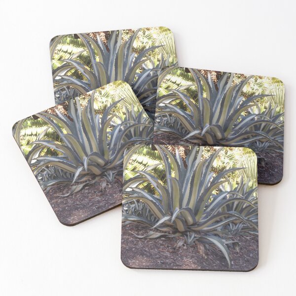 Item preview, Two toned cactus Adelaide Botanic Gardens  designed and sold by Naomi80.