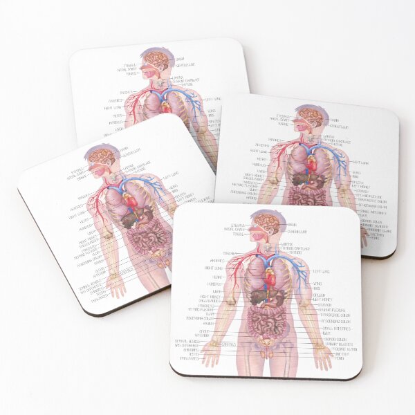 Item preview, Watercolor male human body anatomy designed and sold by Ekaterina Glazkova.