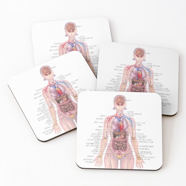 Item preview, Watercolor illustration of a female body anatomy  designed and sold by Ekaterina Glazkova.