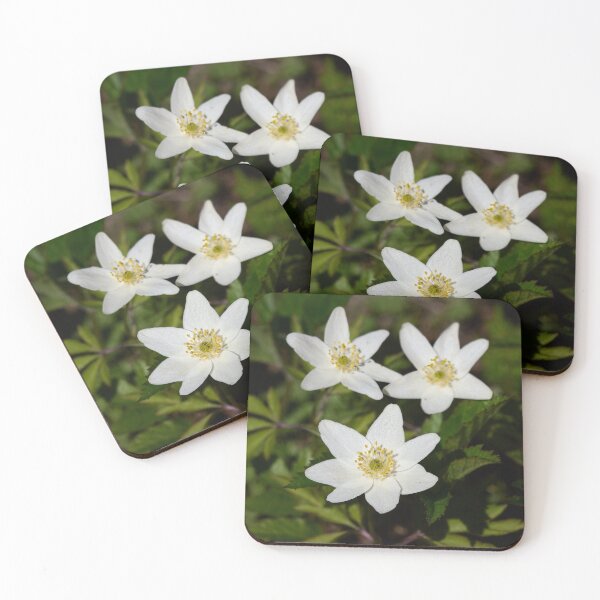 Item preview, Wood anemone trio designed and sold by Jouko Lehto Photography.
