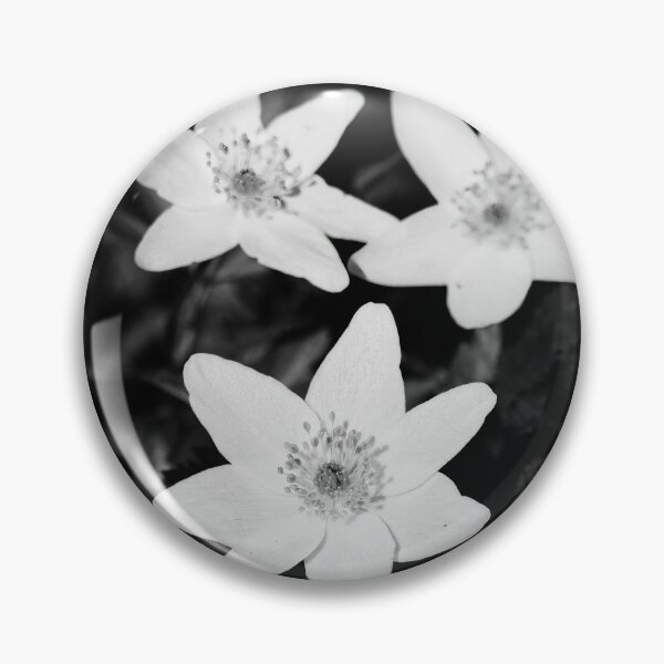 Item preview, Wood anemone trio bw designed and sold by Jouko Lehto Photography.
