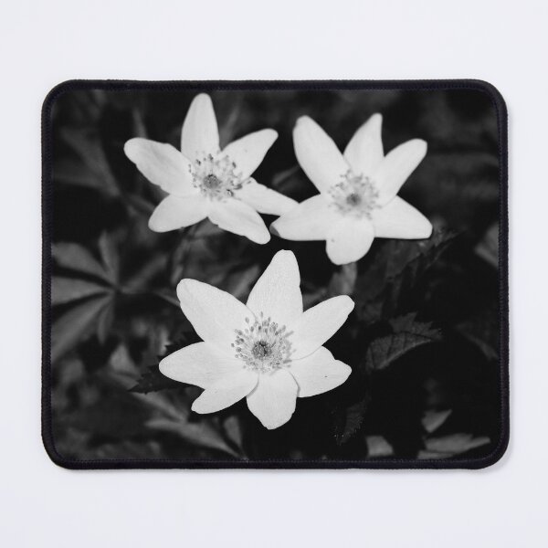 Item preview, Wood anemone trio bw designed and sold by Jouko Lehto Photography.