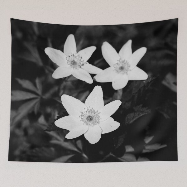 Item preview, Wood anemone trio bw designed and sold by Jouko Lehto Photography.