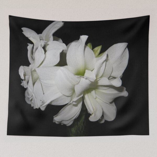 Item preview, Double Blooming White Amaryllis designed and sold by DesignsbyAunt.