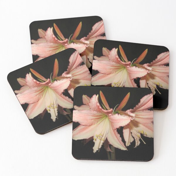 Item preview, Tinkerbell Amaryllis designed and sold by DesignsbyAunt.