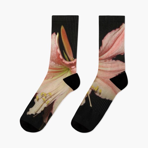 Item preview, Tinkerbell Amaryllis designed and sold by DesignsbyAunt.