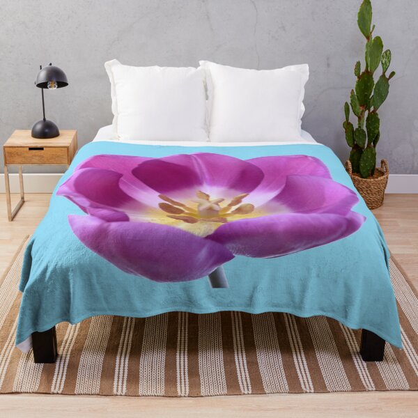 Item preview, Tulipa 'Purple Flag' Triumph Tulip designed and sold by Chris Burrows.